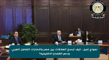 نموذج تميز.. كيف ترسخ العلاقات بين مصر والإمارات التعاون العربي ودعم القضايا الإقليمية؟